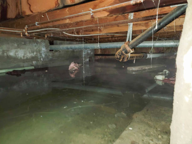 Best Residential water damage restoration  in West End Cobb Town, AL