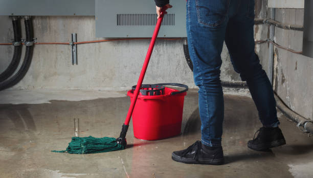 Best Local water damage restoration  in West End Cobb Town, AL