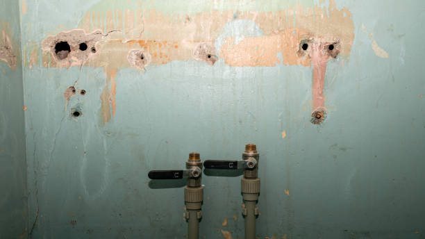 Best Carpet water damage restoration  in West End Cobb Town, AL